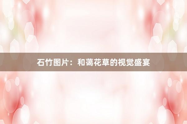 石竹图片:和蔼花草的视觉盛宴